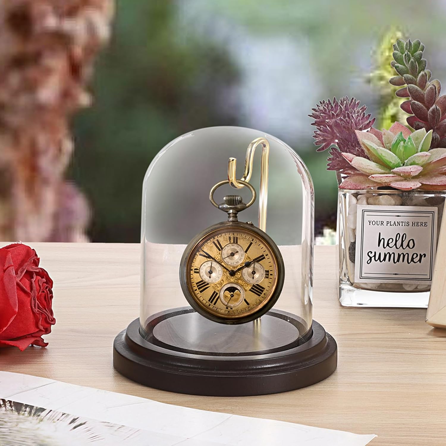 JUXYES Clear Watch Display Dome Cloche With Hook and Wooden Base