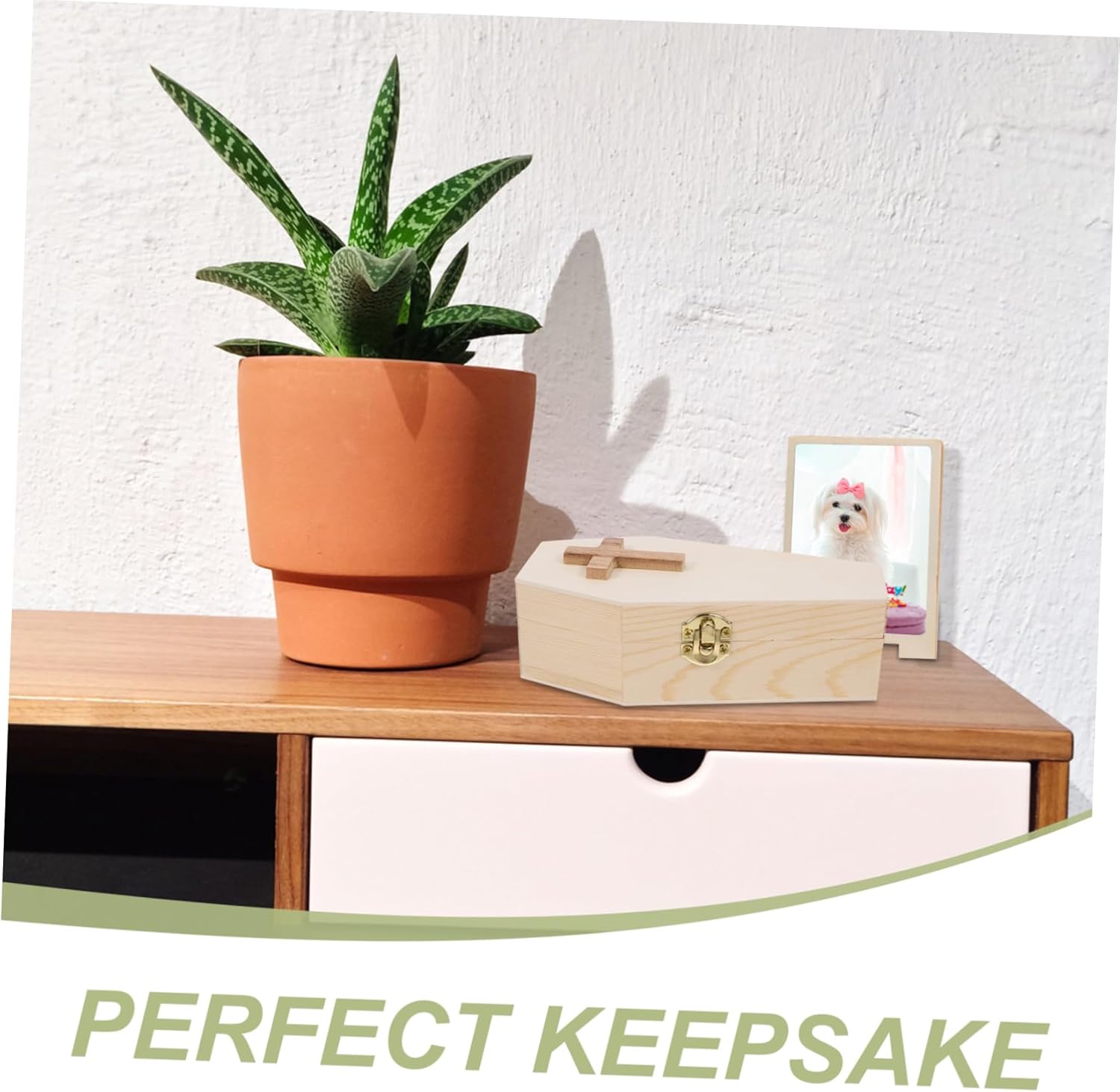 Coffin Shaped Wood Trinket Holder Organizer