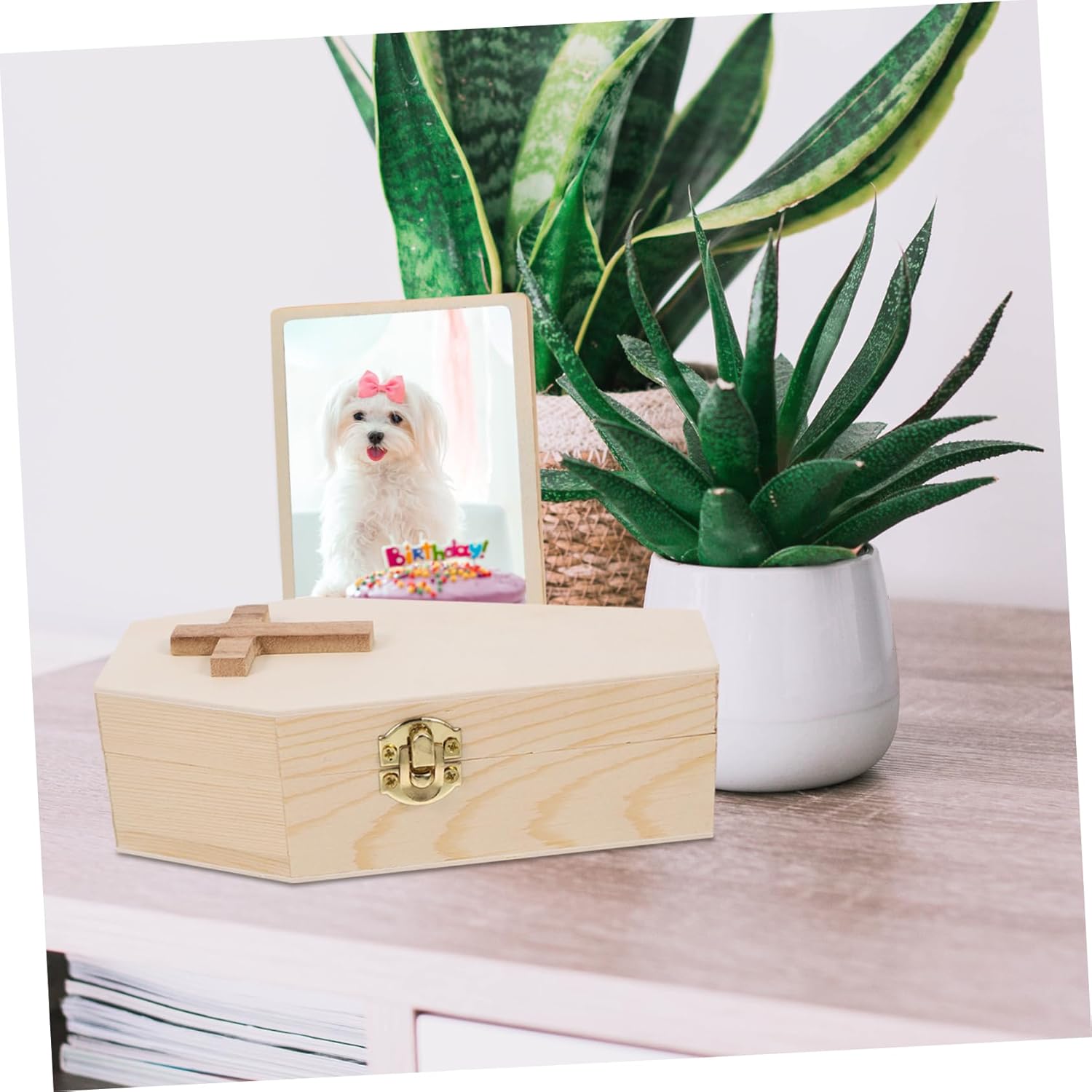 Amosfun Small Wooden Coffin Jewelry Organizer with Unique Lid