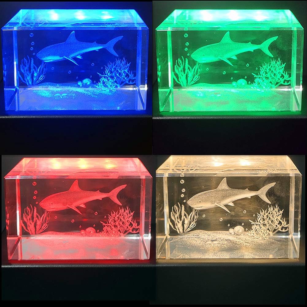Eustuma Color Changing LED Light Base Display Stand