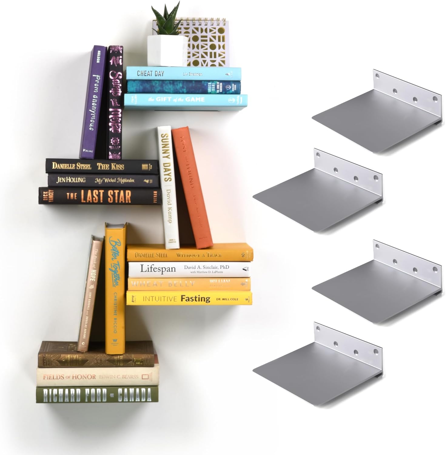 Floating Invisible Bookshelf Wall Mounted Set of 4 - Aluminum - Convert Books into Shelves