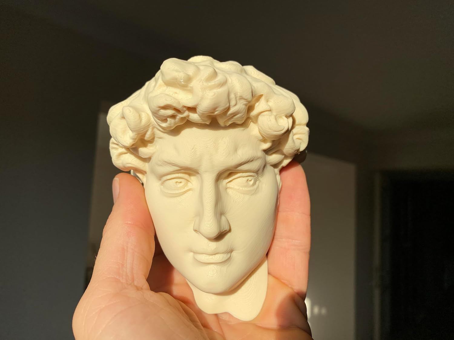 Statue of David Wall Decor - 3D Printed PLA Modern Minimalist Design