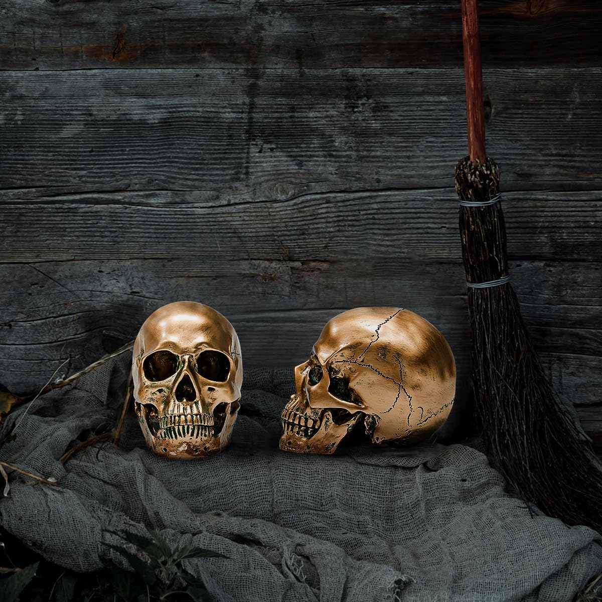 ECYC 11 Resin Human Skull Model Life Size Bronze Halloween Decor