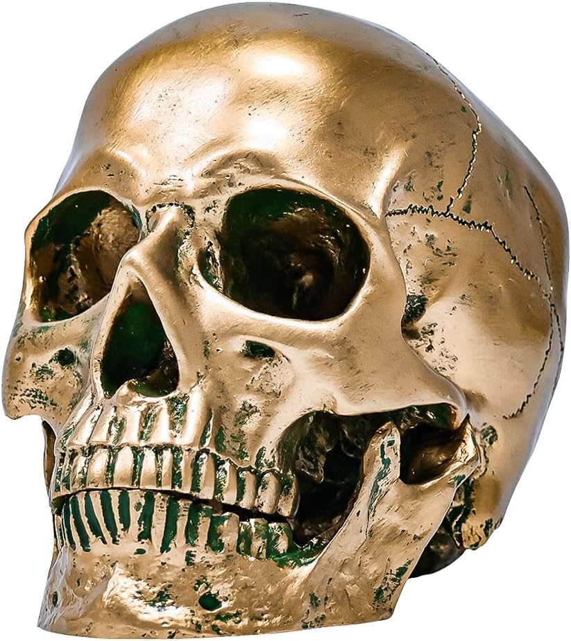 ECYC 11 Resin Human Skull Model Life Size Bronze Halloween Decor