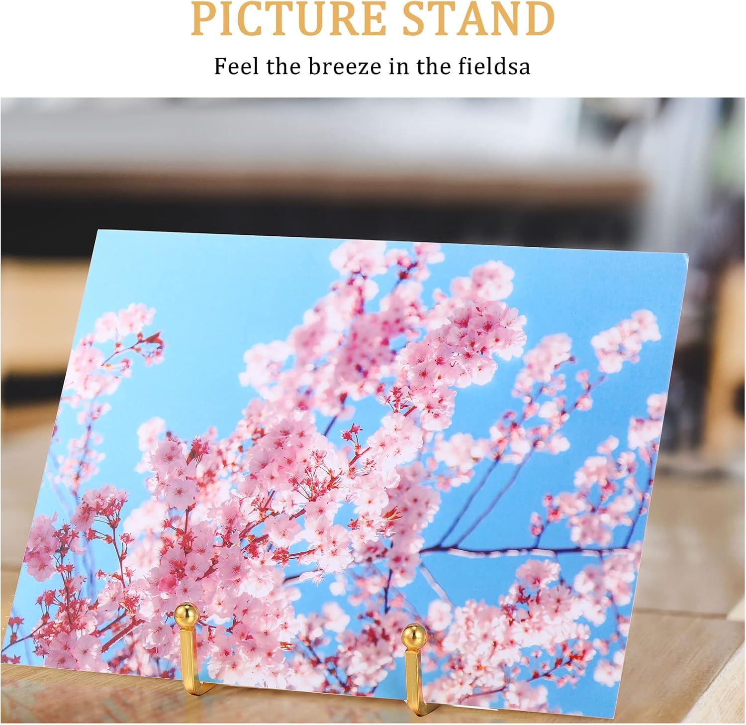 Kenning 12-Piece Gold Plate Holder Easel Display Stand