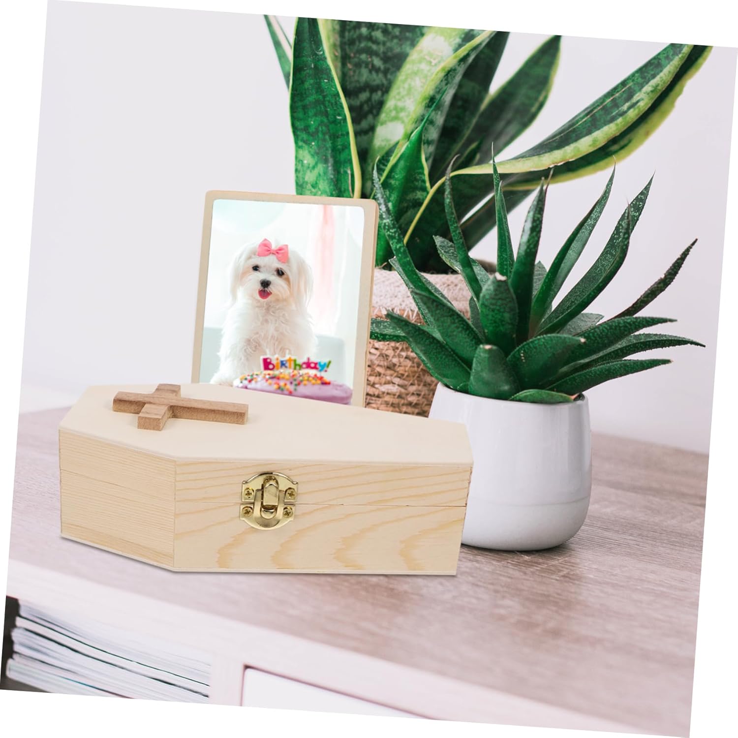 Coffin Shaped Wood Trinket Holder Organizer
