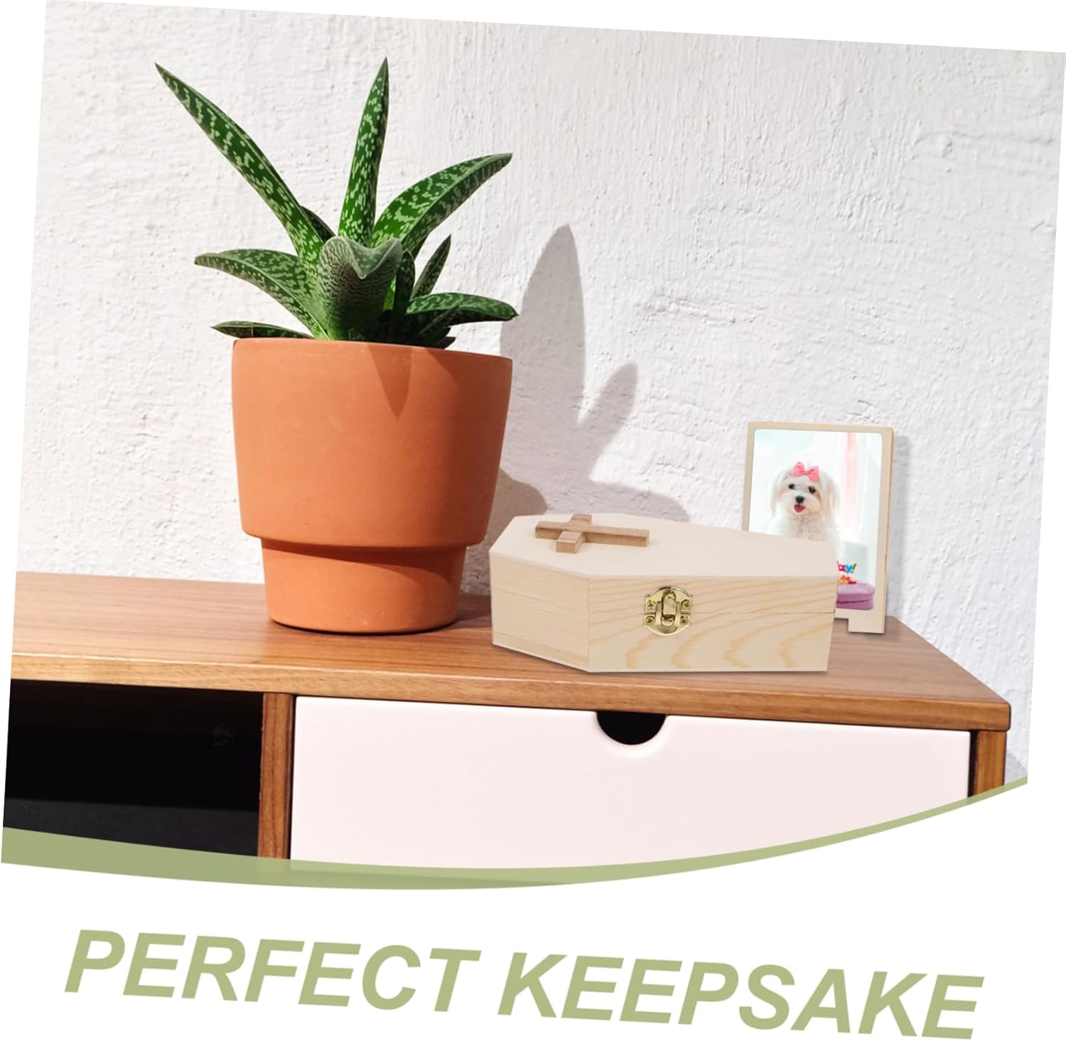 Coffin Shape Decorative Jewelry Storage Box