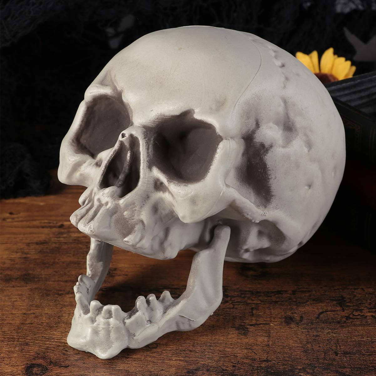 Amosfun 6PCS Halloween Skeleton Skull Head Bone Model Props