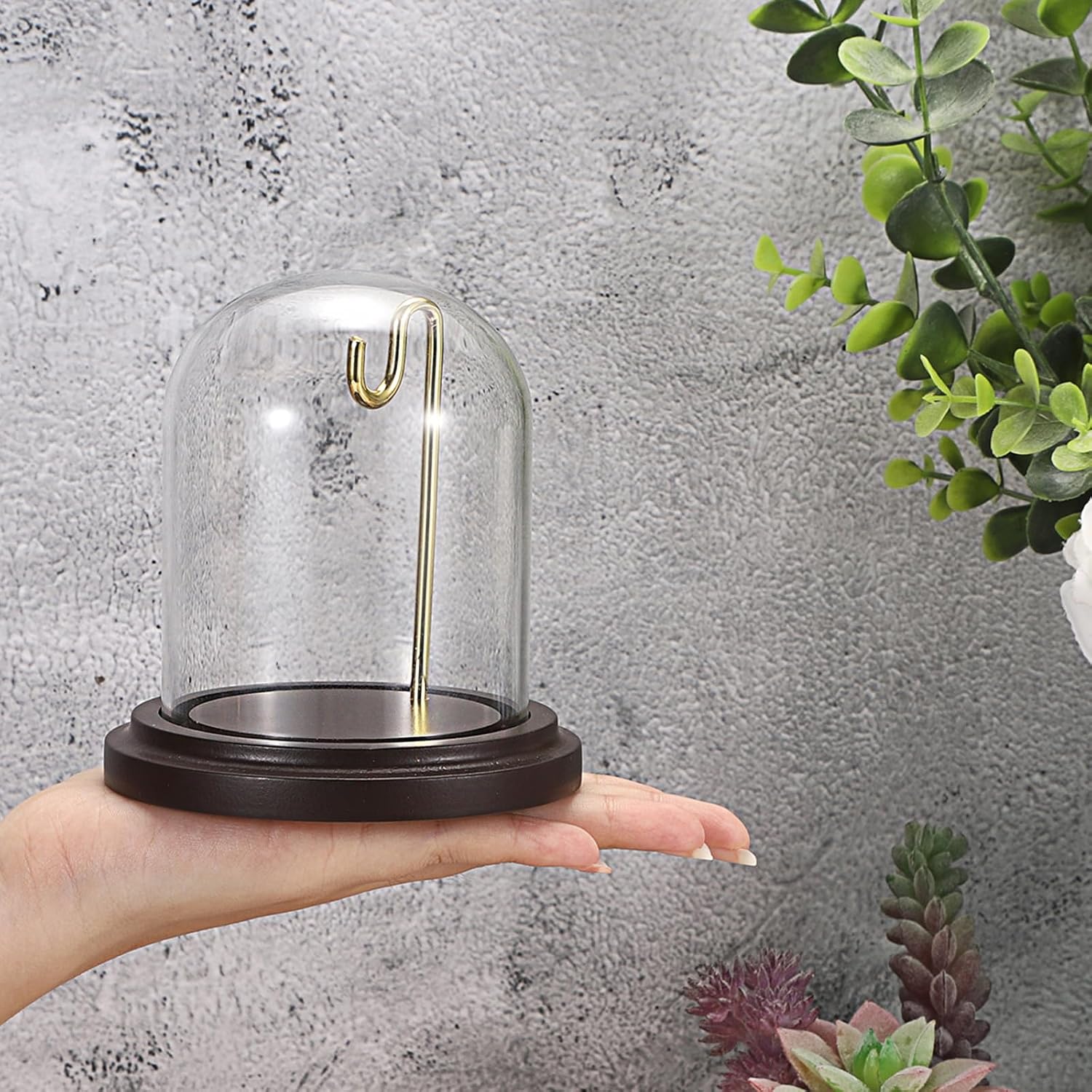 JUXYES Clear Watch Display Dome Cloche With Hook and Wooden Base