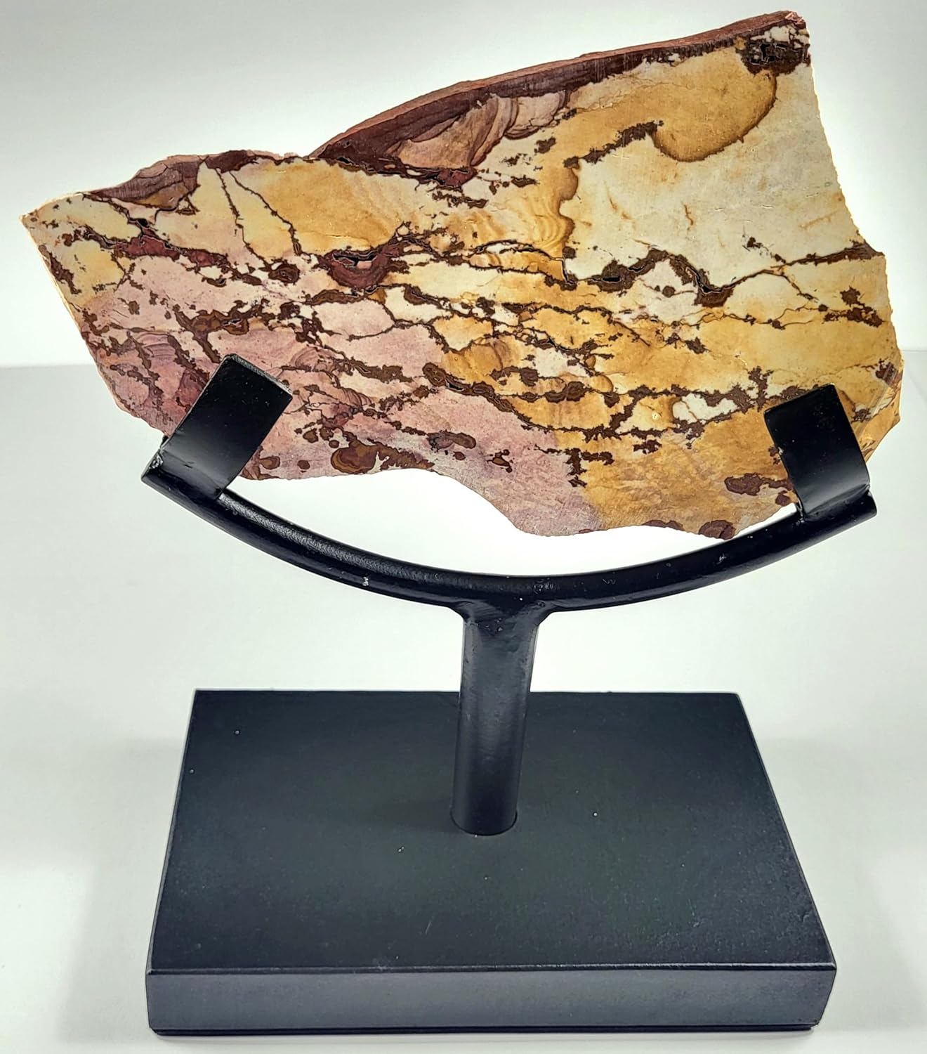 62 Inch Display Stand for Slab Slice Fossil Flat Minerals Black One Arm Two Prong Holder