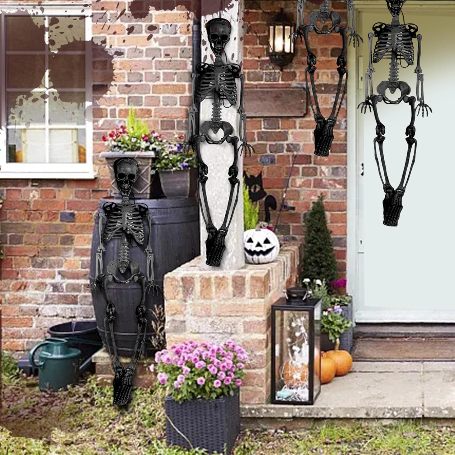 Realistic 3ft Halloween Skeleton Prop with Movable Joints