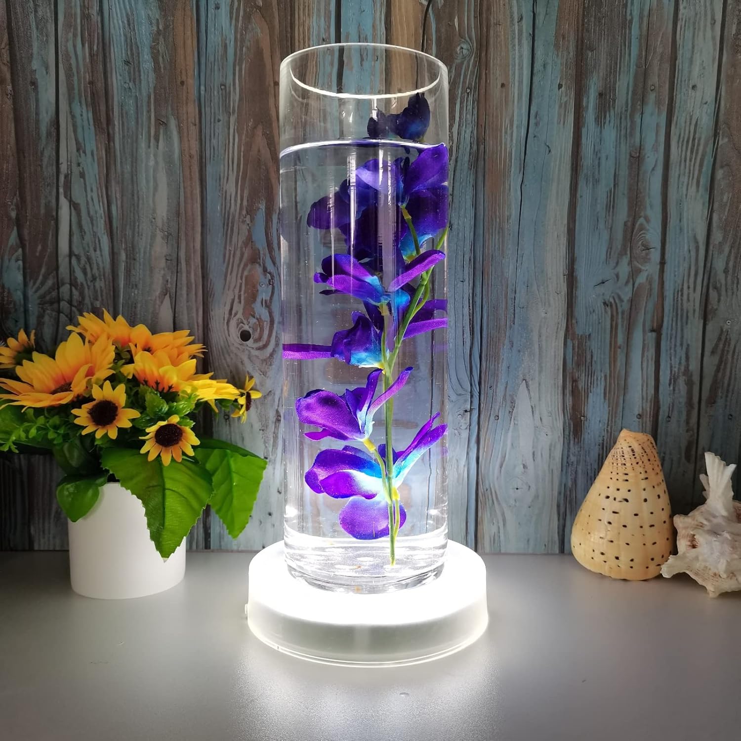 LARDUX 6 Inch LED Display Pedestal Light Stand