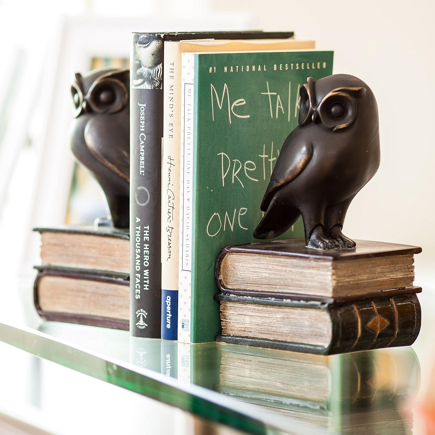 Danya B Owl Bookends Decorative Rustic Bookshelf Decor - Owls Bookend Set for Heavy Books - Bronze Finish